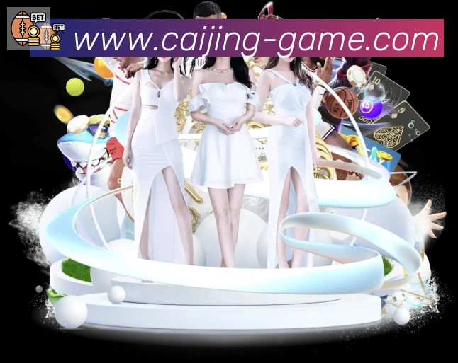 彩经网服务体系